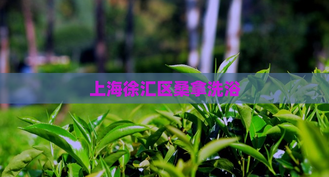 上海徐汇区桑拿洗浴  第1张