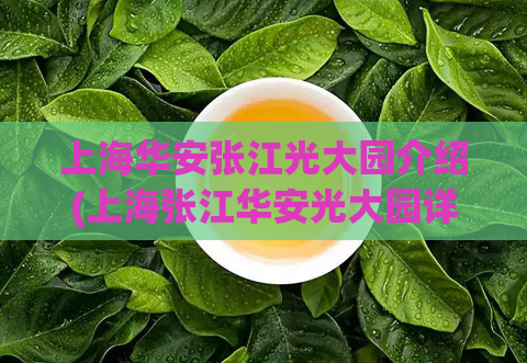 上海华安张江光大园介绍(上海张江华安光大园详细介绍)  第1张