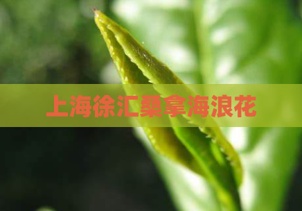 上海徐汇桑拿海浪花  第1张