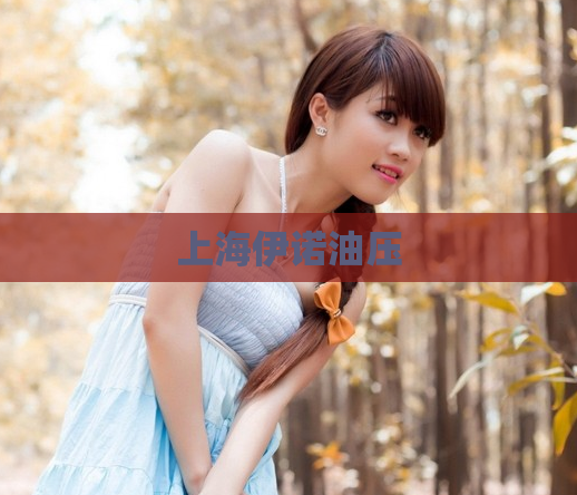 上海伊诺油压  第1张
