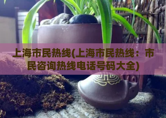 上海市民热线(上海市民热线：市民咨询热线电话号码大全)  第1张