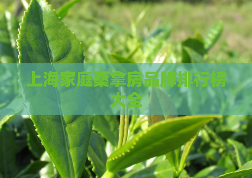 上海家庭桑拿房品牌排行榜大全  第1张
