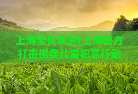 上海宝贝末删(上海警方打击拐卖儿童犯罪行动果断，数名嫌犯落入法网)  第1张