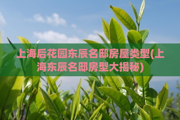 上海后花园东辰名邸房屋类型(上海东辰名邸房型大揭秘)  第1张