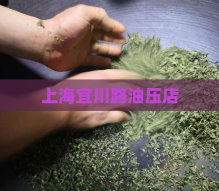 上海宜川路油压店  第1张