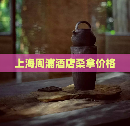 上海周浦酒店桑拿价格  第1张