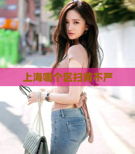 上海哪个区扫黄不严  第1张