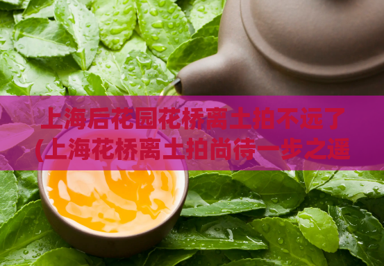 上海后花园花桥离土拍不远了(上海花桥离土拍尚待一步之遥)  第1张