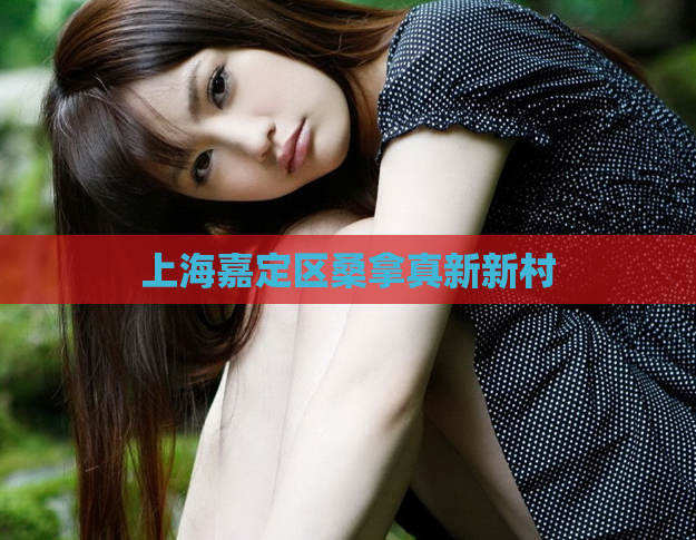 上海嘉定区桑拿真新新村  第1张