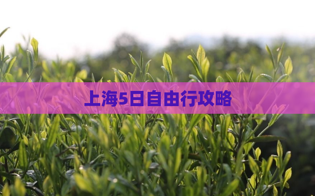 上海5日自由行攻略  第1张