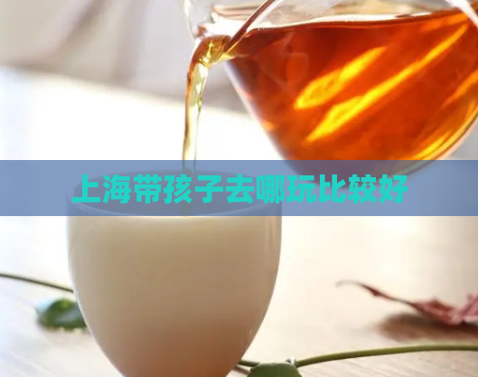 上海带孩子去哪玩比较好  第1张