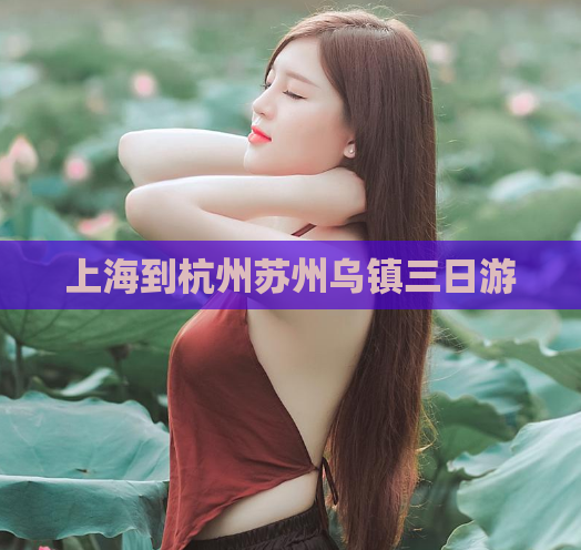 上海到杭州苏州乌镇三日游  第1张
