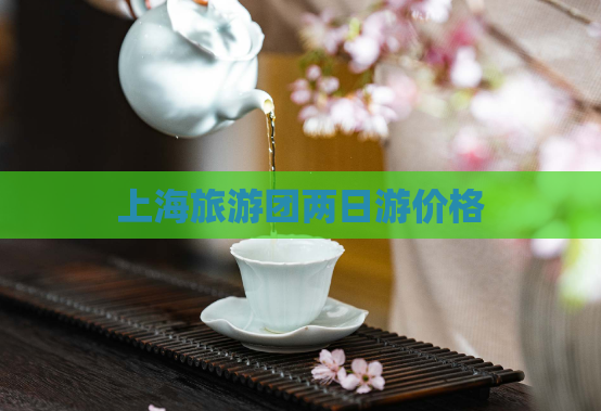 上海旅游团两日游价格  第1张