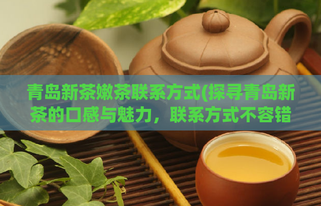 青岛新茶嫩茶联系方式(探寻青岛新茶的口感与魅力，联系方式不容错过)  第1张
