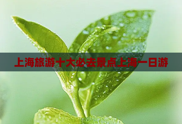 上海旅游十大必去景点上海一日游  第1张