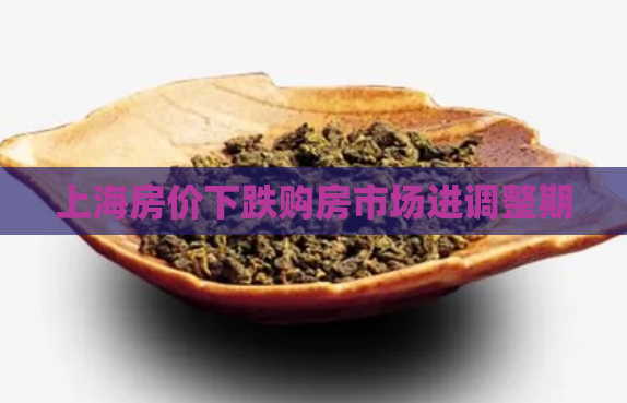 上海房价下跌购房市场进调整期  第1张