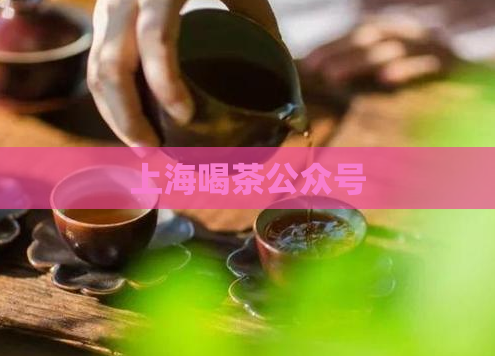 上海喝茶公众号  第1张