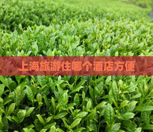 上海旅游住哪个酒店方便  第1张