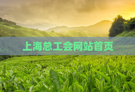 上海总工会网站首页  第1张