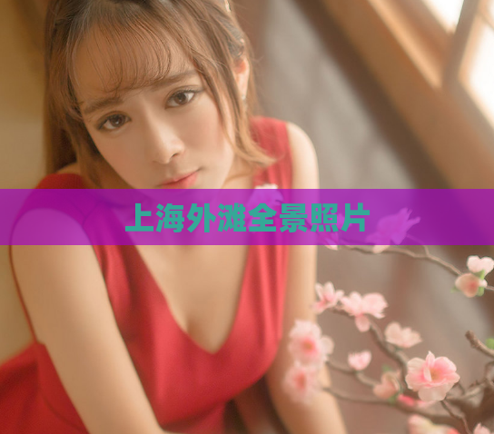 上海外滩全景照片  第1张