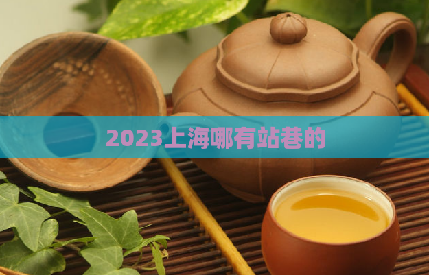 2023上海哪有站巷的  第1张