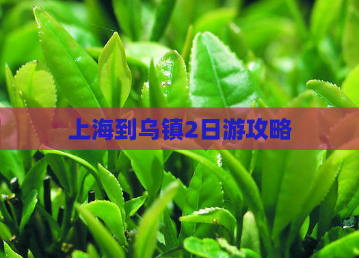 上海到乌镇2日游攻略  第1张