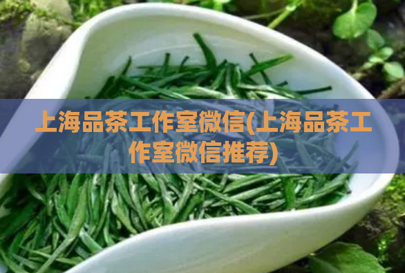 上海品茶工作室微信(上海品茶工作室微信推荐)  第1张