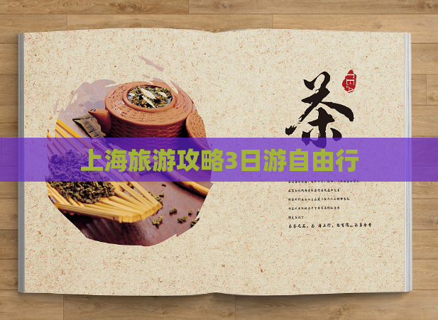 上海旅游攻略3日游自由行  第1张