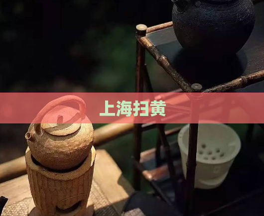 上海扫黄  第1张