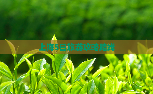 上海5日旅游攻略路线  第1张