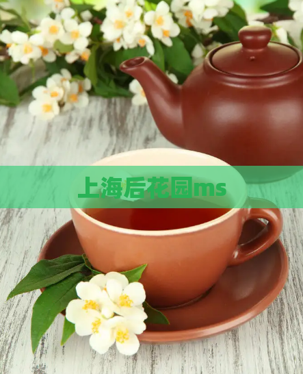 上海后花园ms  第1张