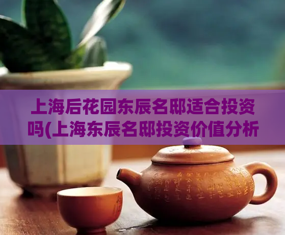上海后花园东辰名邸适合投资吗(上海东辰名邸投资价值分析)  第1张