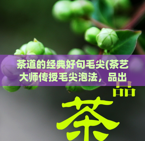 茶道的经典好句毛尖(茶艺大师传授毛尖泡法，品出经典好茶)  第1张