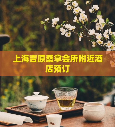上海吉原桑拿会所附近酒店预订  第1张