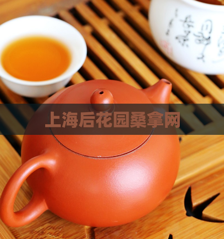 上海后花园桑拿网  第1张