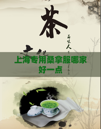 上海专用桑拿服哪家好一点  第1张