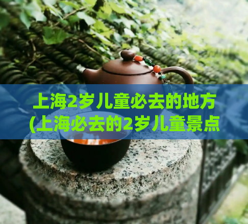 上海2岁儿童必去的地方(上海必去的2岁儿童景点推荐)  第1张