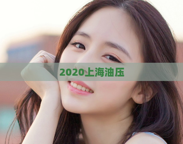 2020上海油压  第1张