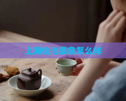 上海仙池桑拿怎么样  第1张