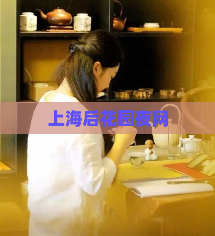 上海后花园夜网  第1张
