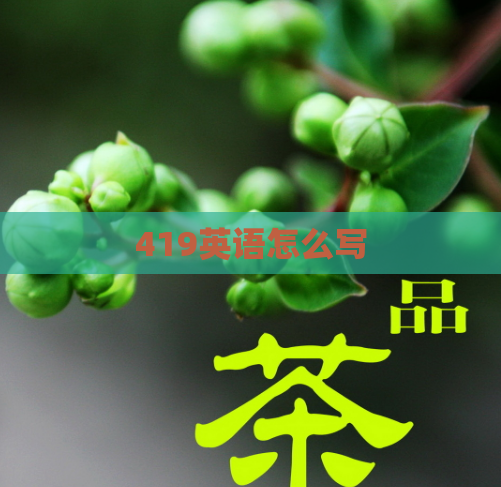 419英语怎么写  第1张
