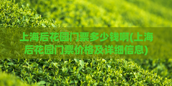 上海后花园门票多少钱啊(上海后花园门票价格及详细信息)  第1张