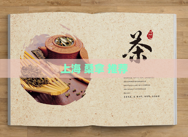 上海 桑拿 推荐  第1张