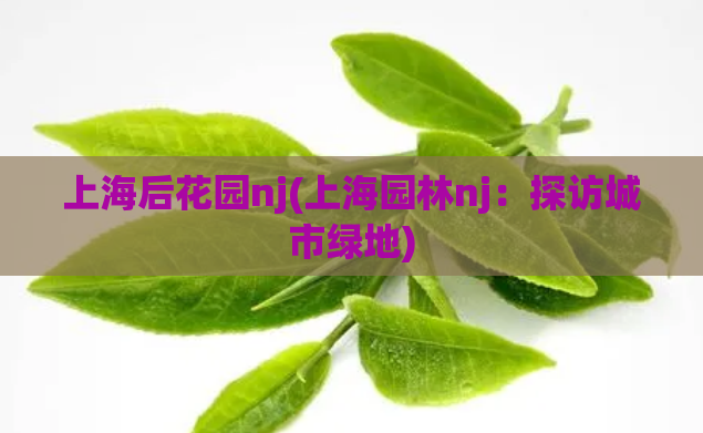 上海后花园nj(上海园林nj：探访城市绿地)  第1张