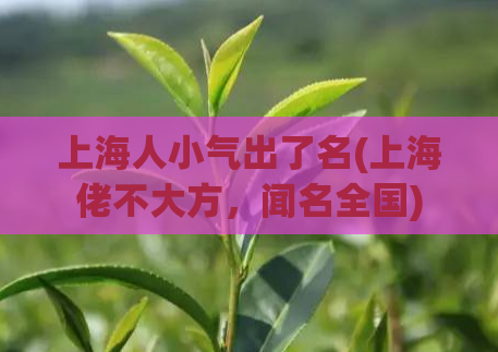 上海人小气出了名(上海佬不大方，闻名全国)  第1张