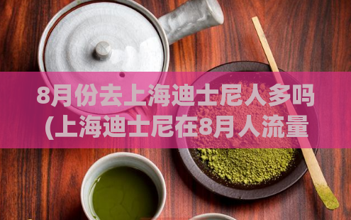 8月份去上海迪士尼人多吗(上海迪士尼在8月人流量大吗？)  第1张