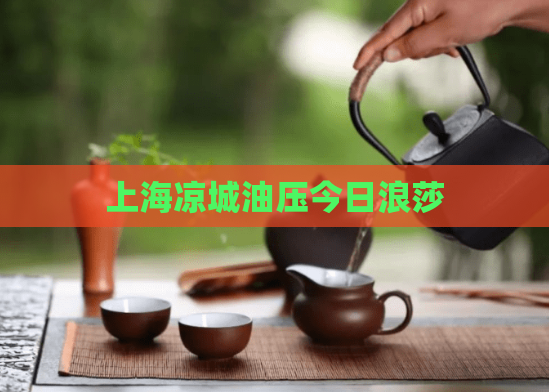 上海凉城油压今日浪莎  第1张