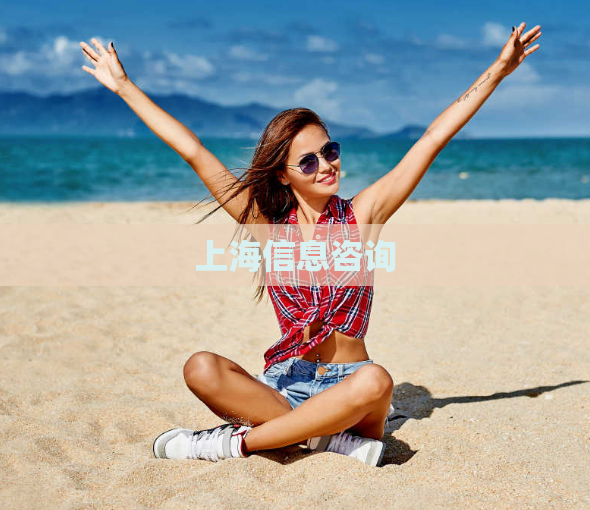 上海信息咨询  第1张