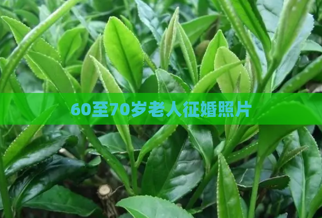 60至70岁老人征婚照片  第1张