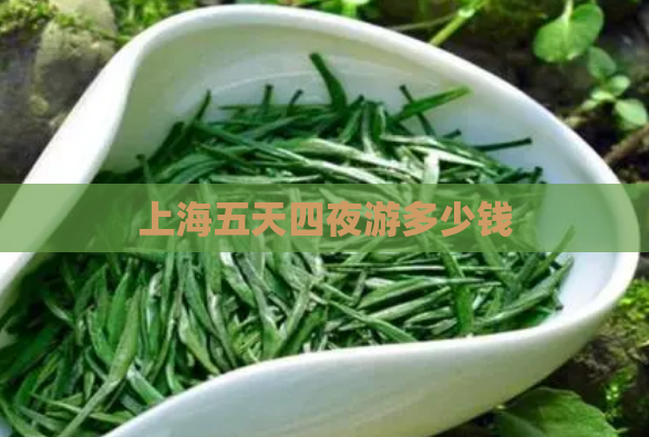 上海五天四夜游多少钱  第1张